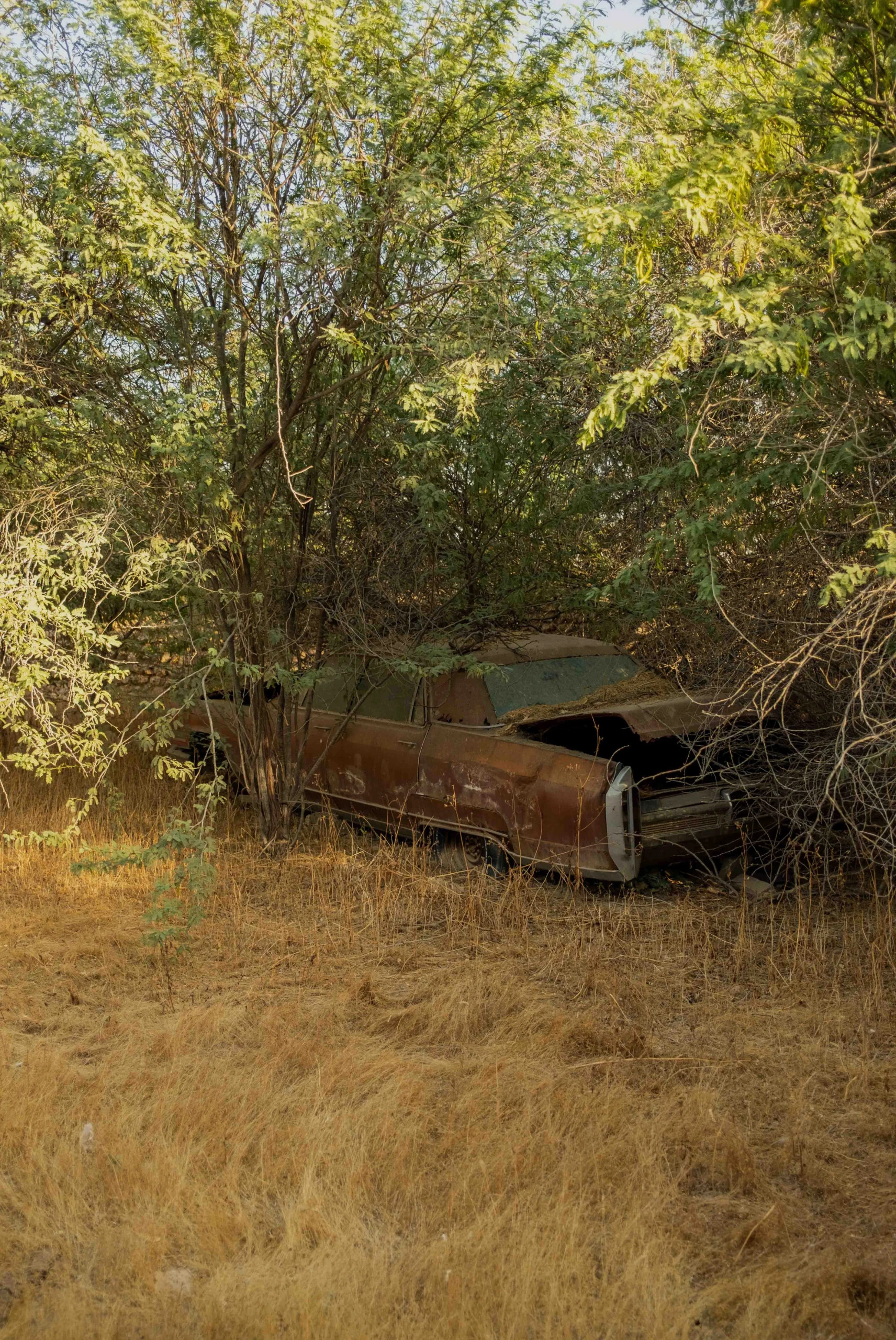 The Footprints We Leave #1